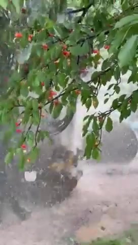 izgrazhdane-na-sondazh-boben Изграждане на сондаж за вода в Бобен