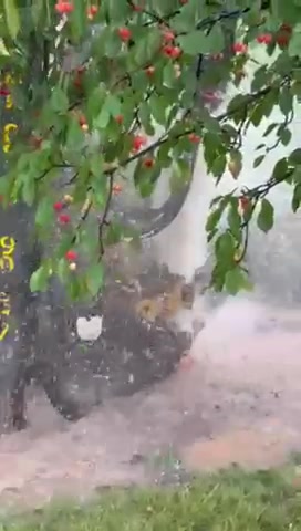 sondazh-za-voda-boben Сондаж за вода в Бобен